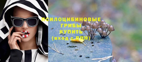 стаф Алексин