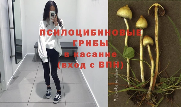 стаф Алексин
