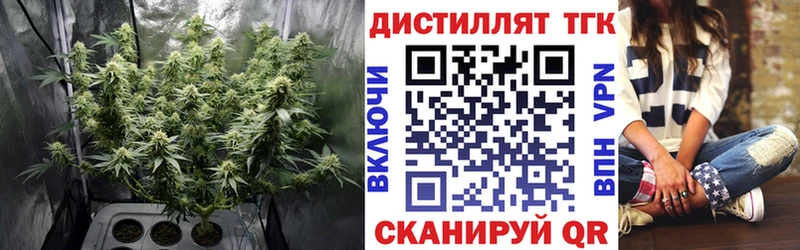 ТГК THC oil  Новосиль 