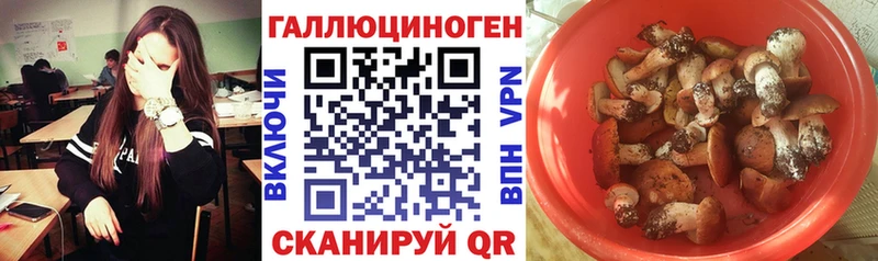 Галлюциногенные грибы ЛСД  Новосиль 