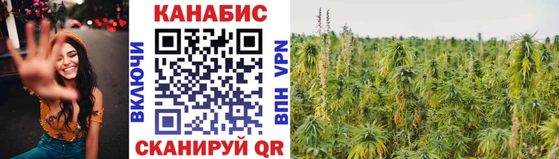 Каннабис THC 21%  Новосиль 